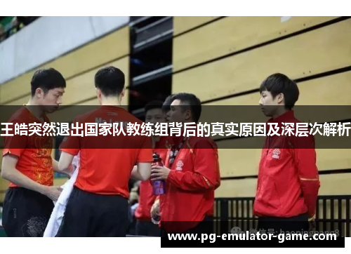 王皓突然退出国家队教练组背后的真实原因及深层次解析