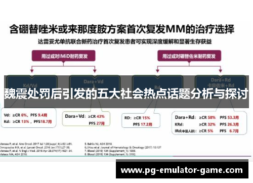 魏震处罚后引发的五大社会热点话题分析与探讨